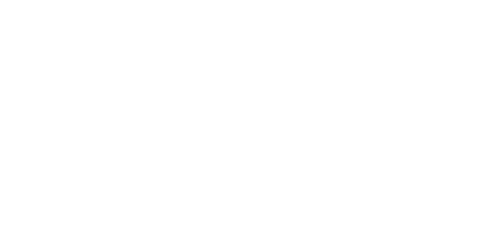 KP Professional